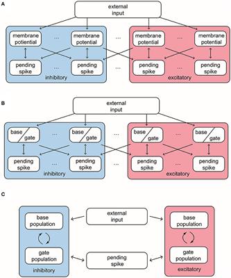 Model Reduction Captures Stochastic Gamma Oscillations on Low-Dimensional Manifolds